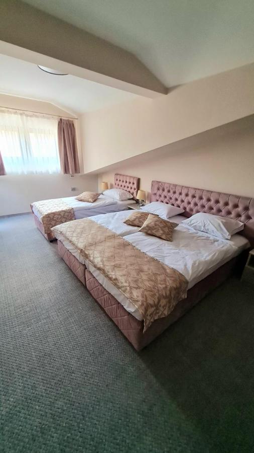 Hotel Ponti Vidin Eksteriør billede