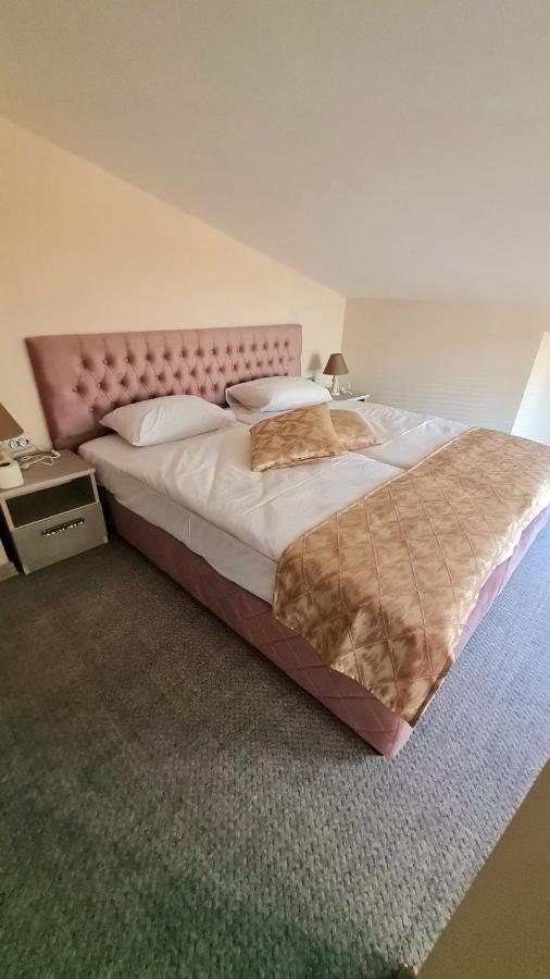 Hotel Ponti Vidin Eksteriør billede
